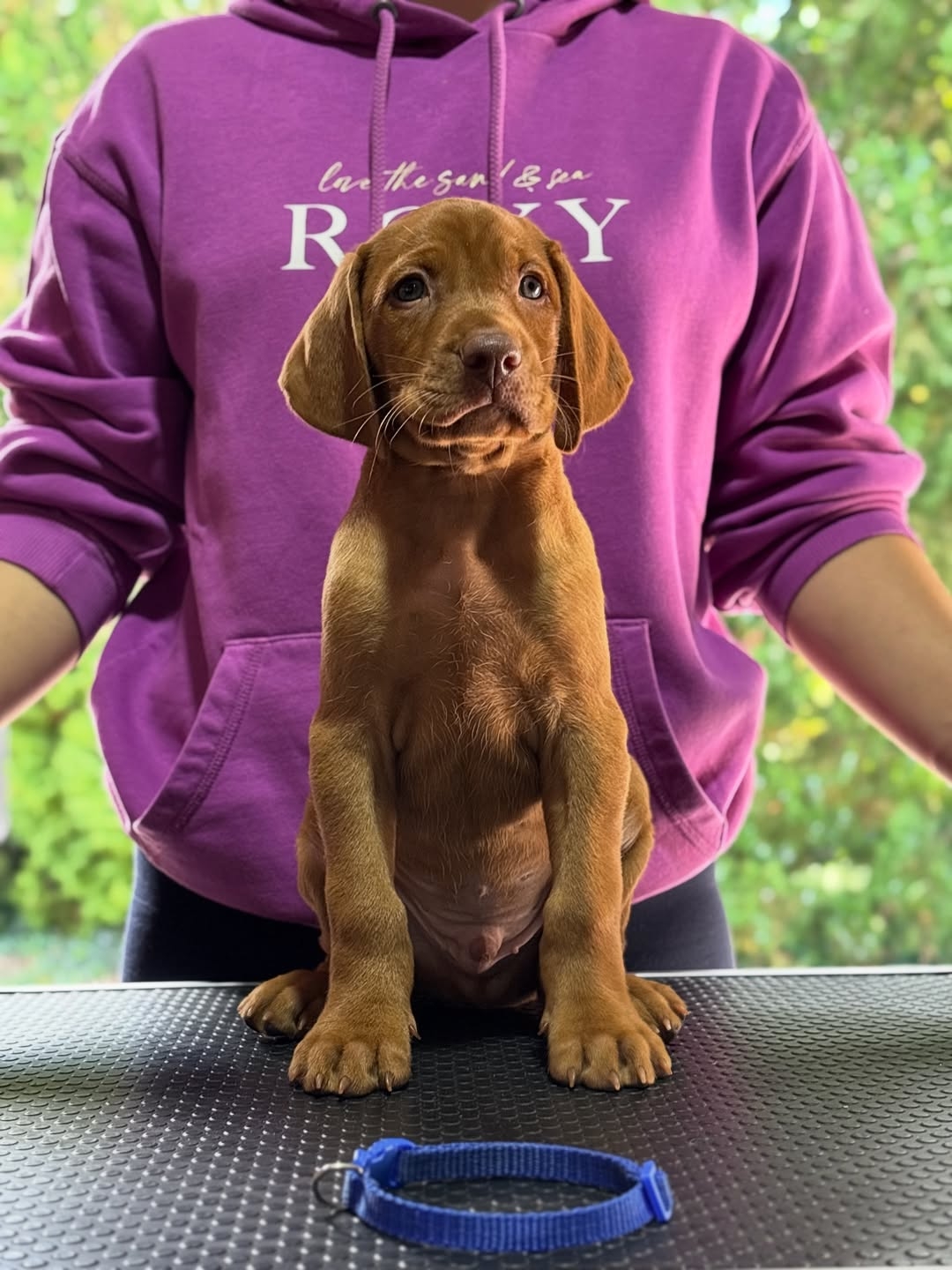 Finn