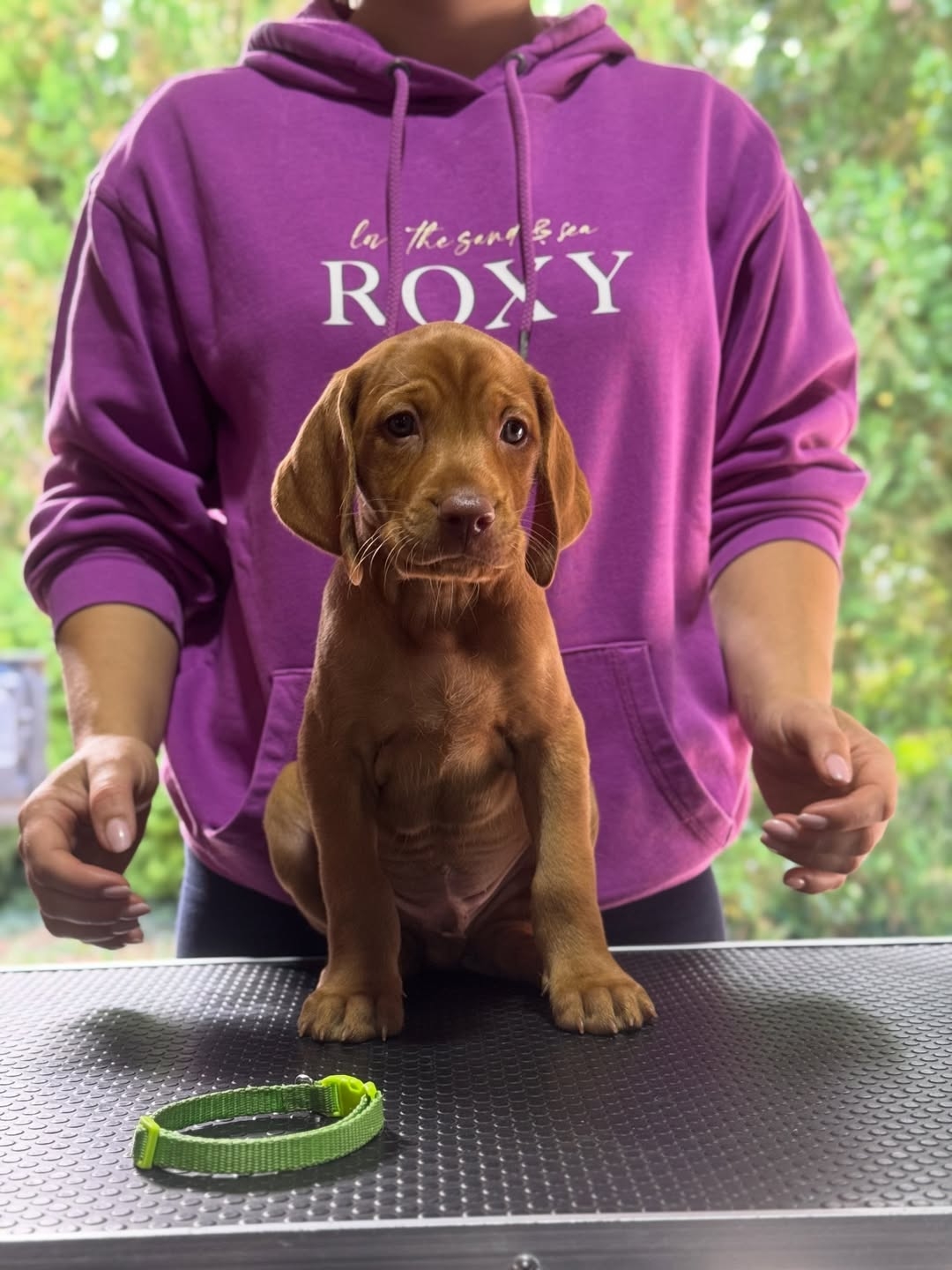 Remy
