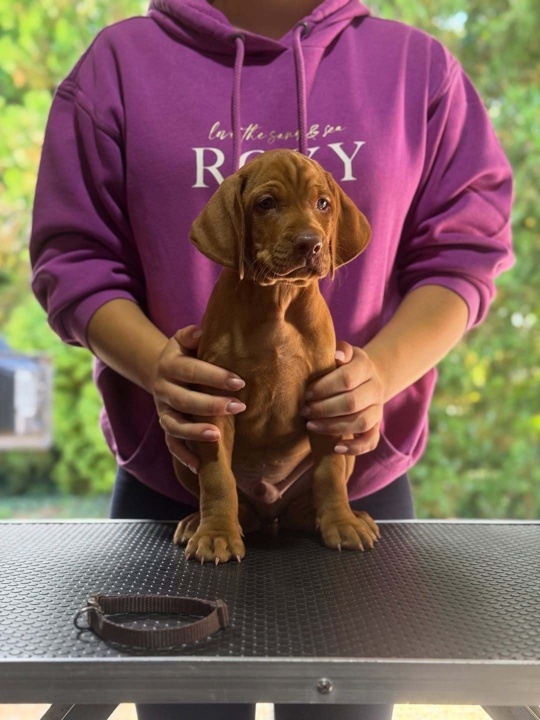 Tucker